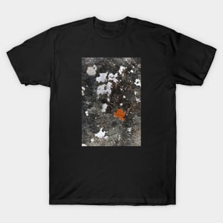 Seaside Fungi Growth On Rock Surface - Alternative T-Shirt